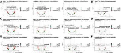 Comprehensive bioinformatics analysis reveals biomarkers of DNA methylation-related genes in varicose veins